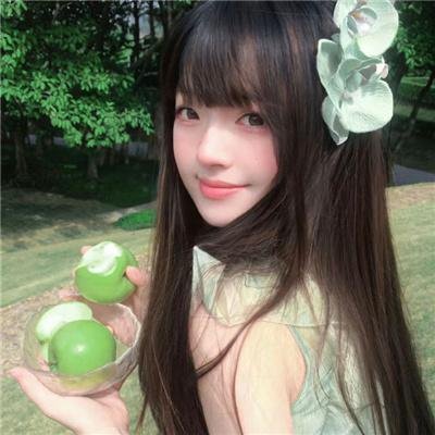 大毛狗